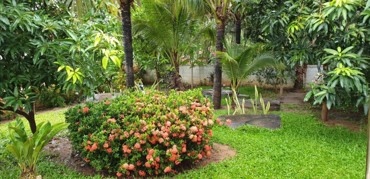 Nuch'S Apple Guest House Si Bun Ruang Exterior photo